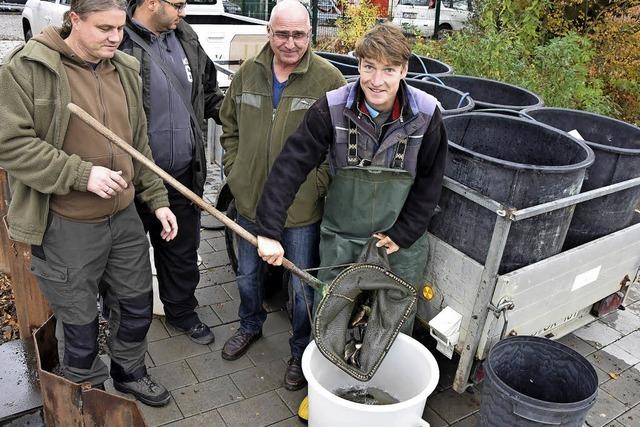 Fischereiverein setzt sich fr Artenvielfalt ein