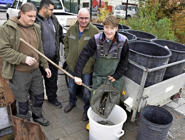 Mitglieder des Fischereivereins halfen mit, die Jungfische im Rhein einzusetzen.  | Foto: Monika Vollmar