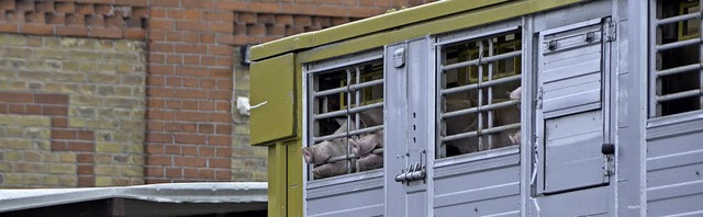 Ein  Tiertransporter mit Schweinen neb..., der ab 2019 aufgegeben werden muss.   | Foto: Helmut Seller
