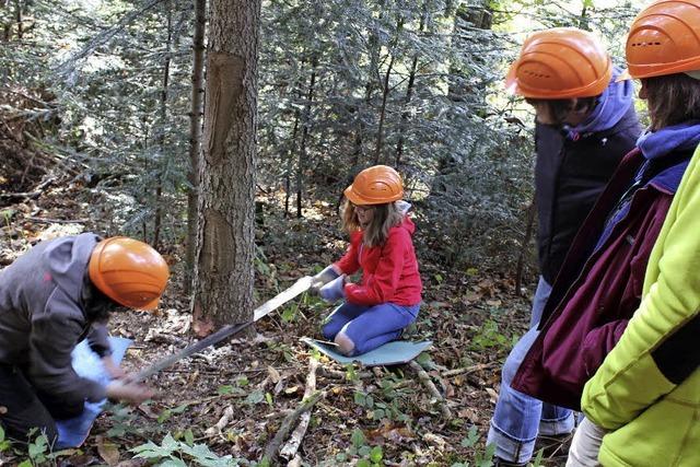 Beim Holzfllen frs Leben lernen