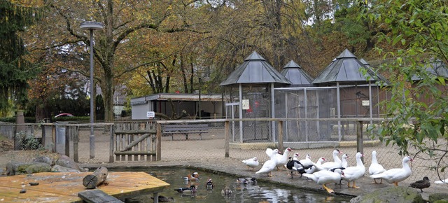 Die Tierhaltung im Rosenfelspark gehrt zu den Sparvorschlgen der Stadt.   | Foto: Manuel Fritsch