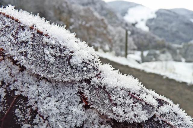 Frostige Aussichten