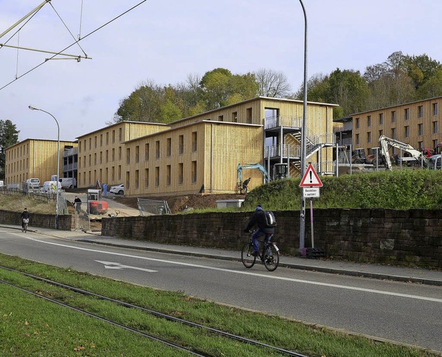 Machen sich erst in der Kostenrechnung...sunterknfte an der Merzhauser Strae.  | Foto: Ingo Schneider