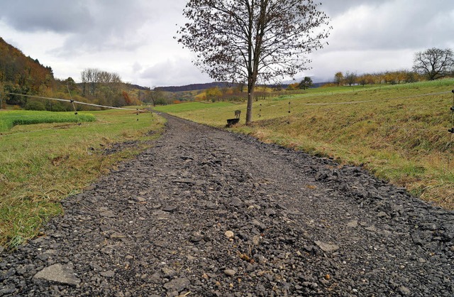 Hier sollten Radfahrer besser absteige... Gennenbach eine Asphaltschotterdecke.  | Foto: Silke Hartenstein