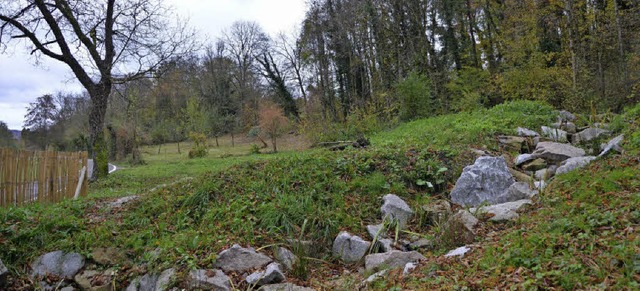 Der Ablauf ist mit groen Steinen ausg...ch Eidechsen gute Bedingungen bieten.   | Foto: Manuel Fritsch