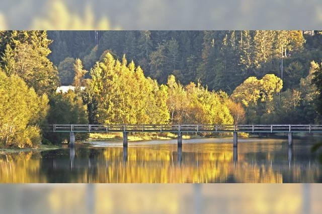 Albsteigplanung auf der Zielgeraden