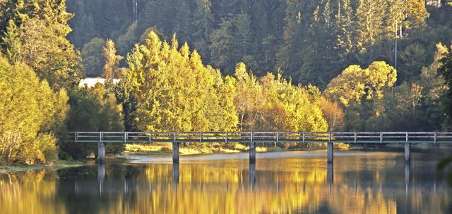 Auch am Albsee fhrt der neue Albsteig vorbei und bietet dabei tolle Aussichten.  | Foto: Ute Maier