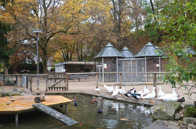 Die Tiere im Rosenfelspark knnten doc...ie Stadt will die Kosten dafr prfen.  | Foto: Manuel Fritsch
