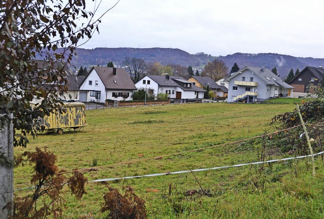 Vier Huser mit 56 Wohnungen sollen au...wiese in der Hasenrtte gebaut werden.  | Foto: Axel Kremp