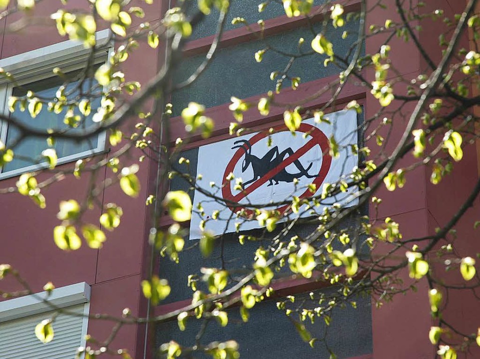 Symbol des Protests: die durchgestrichene Heuschrecke  | Foto: brigitte Sasse