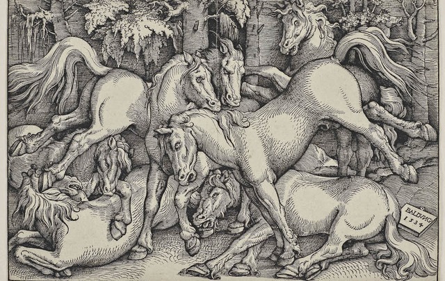 &#8222;Wildpferde mit kmpfenden Hengs...ischer und kunsthistorischer Angaben.   | Foto: Augustinermuseum/Kilian