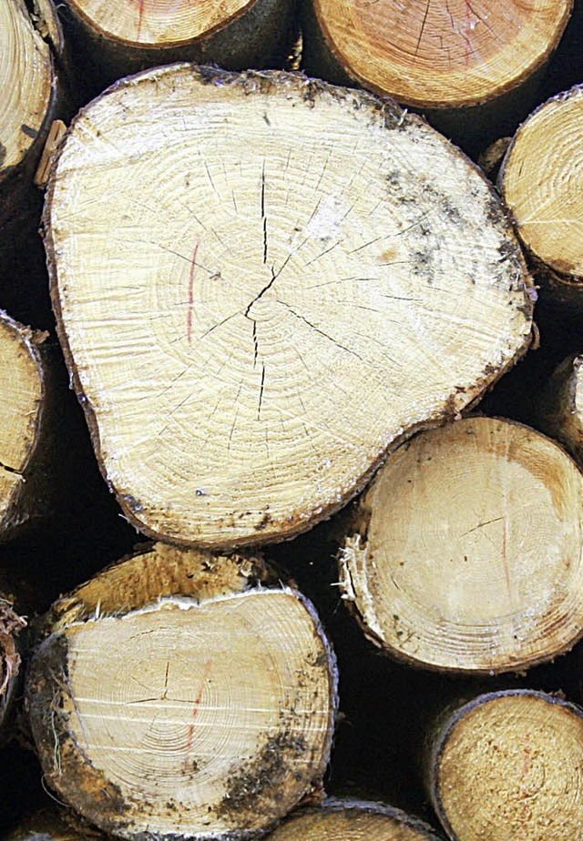 Holz ist gut nachgefragt, aber die Preise stellen offenbar nicht zufrieden.   | Foto: dpa