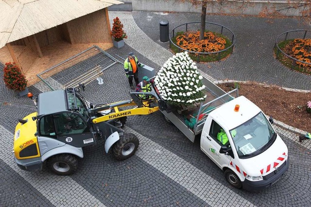 Die Chrysanthema wird abgebaut.  | Foto: Bastian Bernhardt