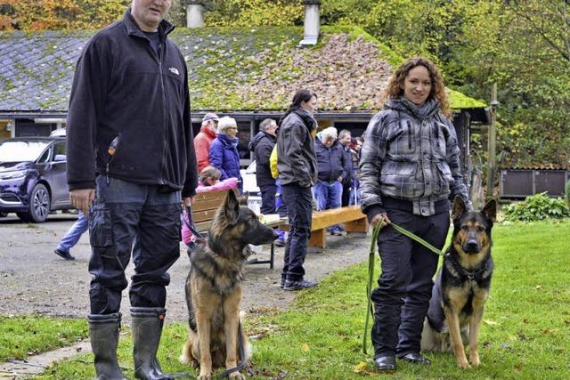 „Eddy vom Langgarten“ schlgt sich gut in der Schferhunde-Prfung