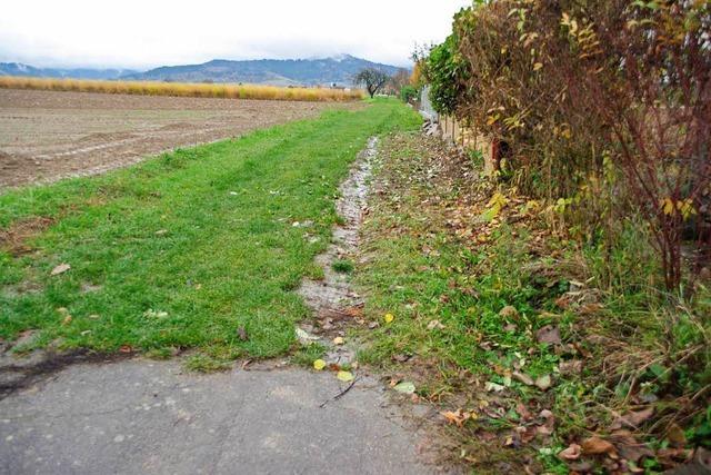 Kein Votum fr den Wirtschaftsweg