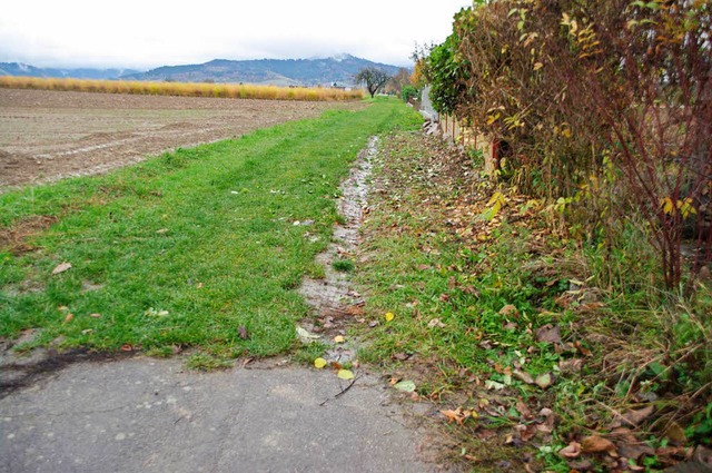Der Grasweg soll als Wirtschaftsweg fr Landwirte ausgebaut werden.  | Foto: Martin Pfefferle