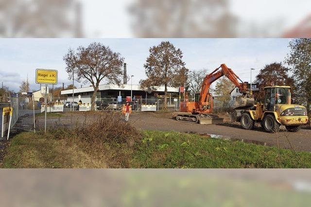 kologischer Ausgleich frs Baugebiet 