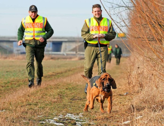 Ein &#8222;Mantrailer&#8220;-Sprhund im Polizeieinsatz  | Foto: Picture Alliance/dpa