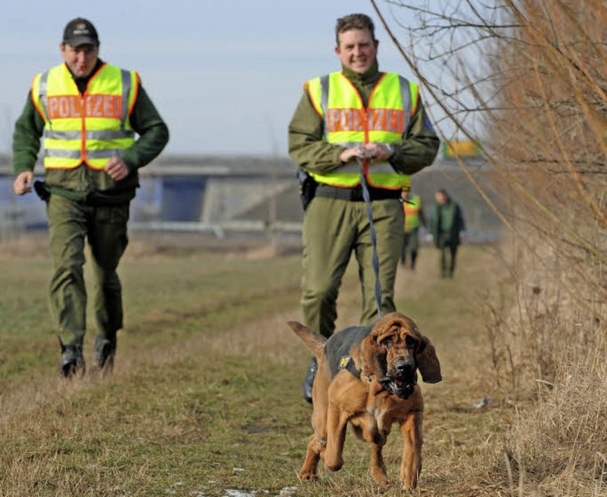 Sprhund im Polizeieinsatz  | Foto: picture alliance/dpa