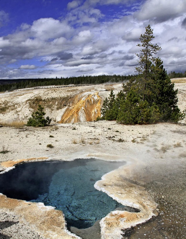 Im Yellowstone-Park gibt es zahlreiche heie Quellen.   | Foto: dpa