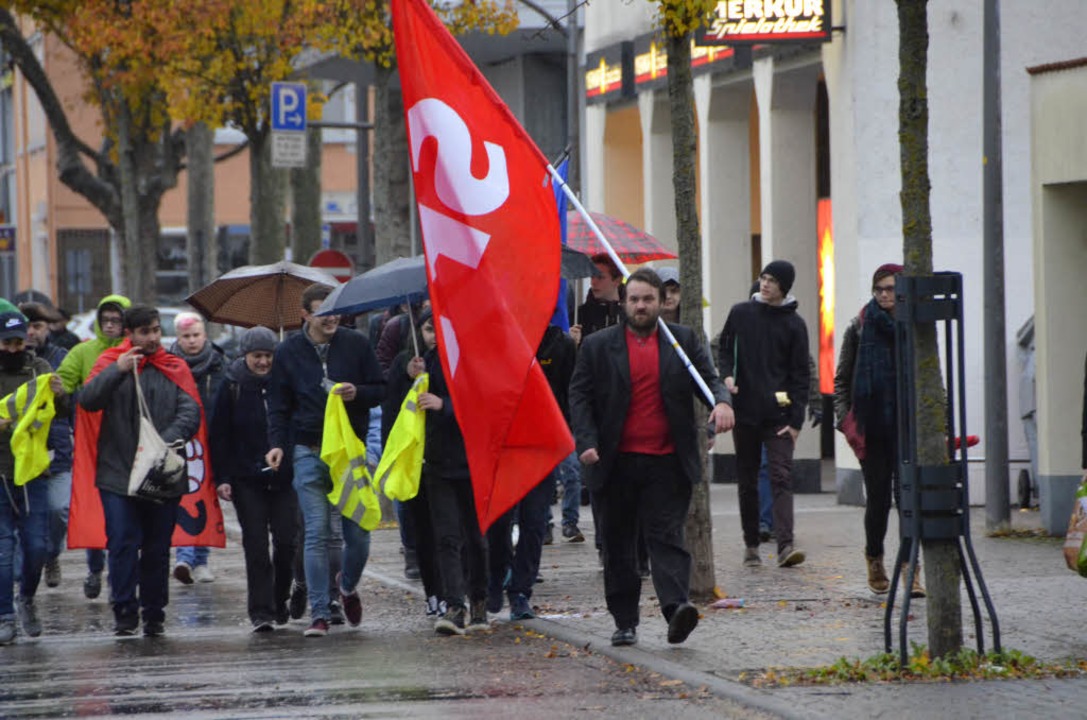 Aktivisten demonstrierten gegen den Parteitag der AfD in Kehl. 