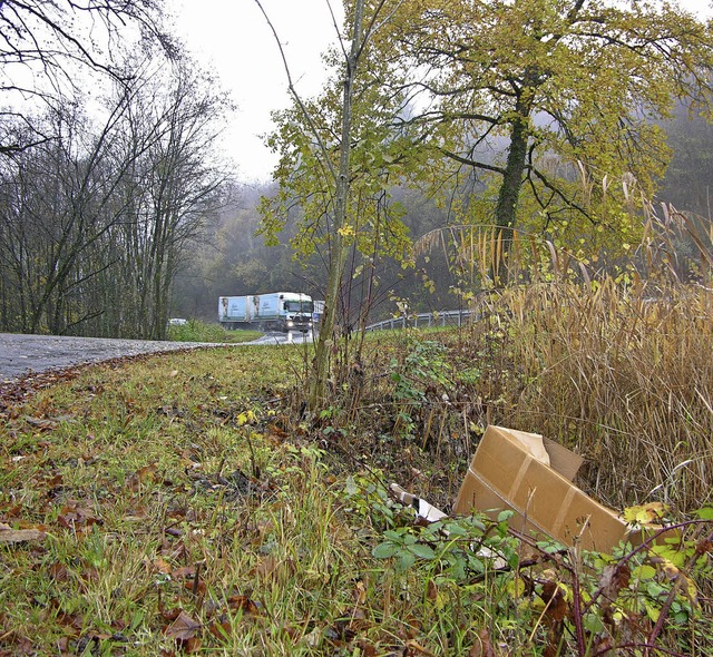 Eigentlich ein Biotop und keine Mllha...ut wird immer wieder zweckentfremdet.   | Foto: Huber