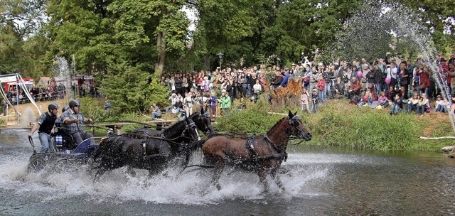 Die Gespannfahrer begeistern die Besuc...as Jahr 2019 die Europameisterschaft.   | Foto: Roger Mller