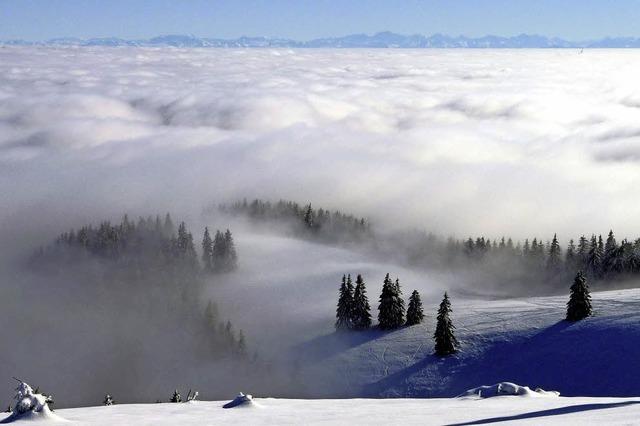 Über das Nebelmeer zu den Alpen