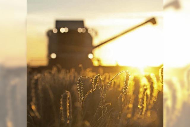 Landwirte stinksauer aufs Land