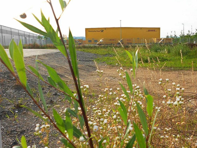 Nicht mehr lange wird das Bauland im G...hbarschaft des DHL-Zentrums frei sein.  | Foto: Victoria Langelott