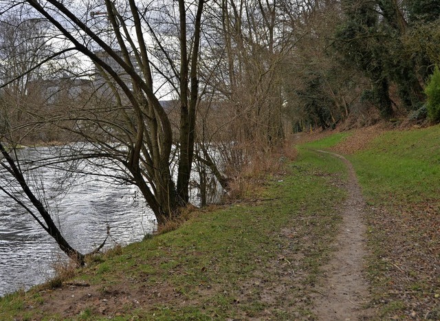 Fr den Radweg rechts der Wiese gibt es neue Ideen.   | Foto: Maldacker