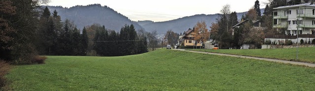 Zur Verbesserung des Hochwasserschutze...de auf der Wiese nur nach Starkregen.   | Foto:  Sylvia Sredniawa