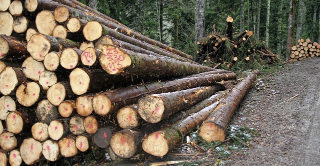 Zwischen den Holzpoldern in Gersbachs ... die Wrmeerzeugung verarbeitet wird.   | Foto: Gerd Sutter