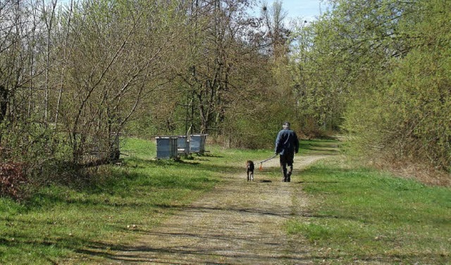 So ist es richtig: In der Kppelingrub...Wegen bewegen, Hunde sind anzuleinen.   | Foto: Steineck