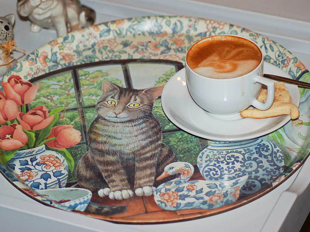 Katzenliebhaber knnen sich im Kanderner Katzencaf austauschen – und nebenbei noch einen Kaffee trinken und ein Stck Kuchen essen.