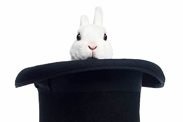 White Rabbit (Symbolbild)  | Foto: Eric Issele/Fotolia.com