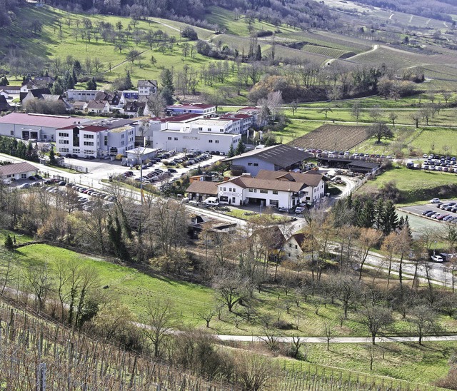 Blick auf den Sulzburger Hekatron-Standort  | Foto: Martin Pfefferle