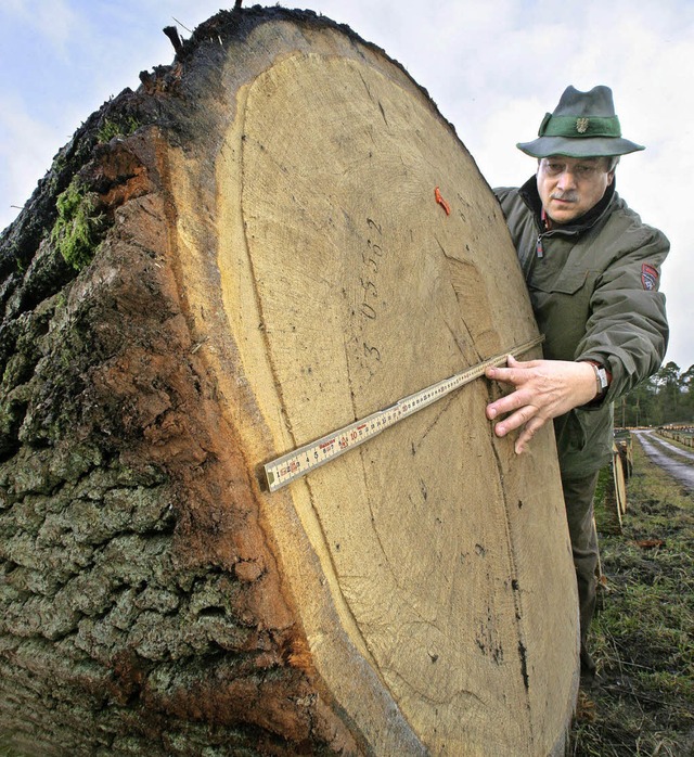 Um der Holzvermarktung nicht nur in Ba..., wird das Bundeswaldgesetz gendert.   | Foto: Dpa