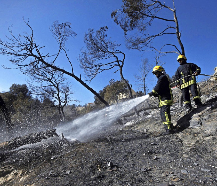 Feuer wüten in Israel: Sind Brandstifter am Werk? - Panorama - Badische