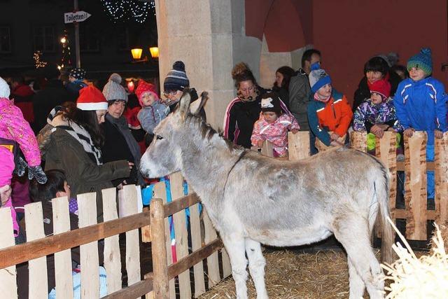 Esel Joshua ist heimlicher Star des Nikolausmarkts in Löffingen