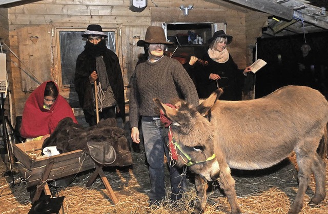 Weihnachten bei den Eseln Lilly und Leika   | Foto: Martina David-Wenk