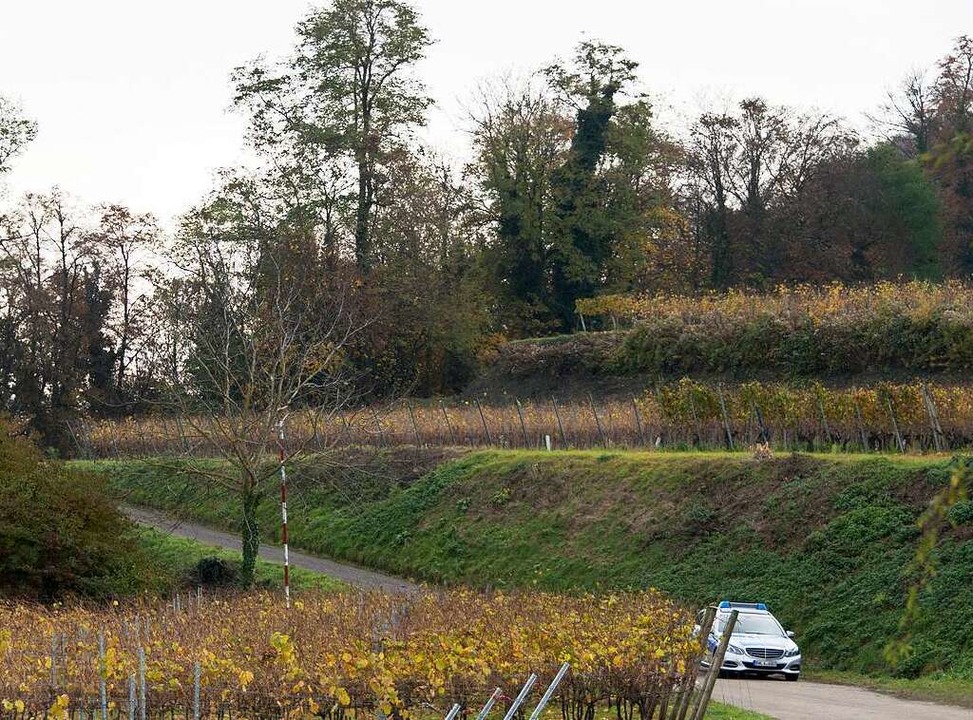 Tagelang suchten Polizisten das Gebiet um Endingen ab.  | Foto: dpa