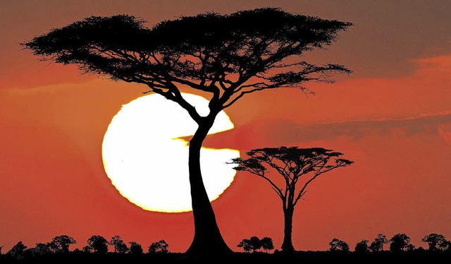 Afrika ist ein Land, das Touristen wie...ltenbummler gleichermaen begeistert.   | Foto: Reiner Harscher
