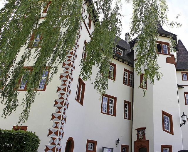 Der Garten von Schloss Schmieheim soll neu gestaltet werden.  | Foto: Heidi Fssel