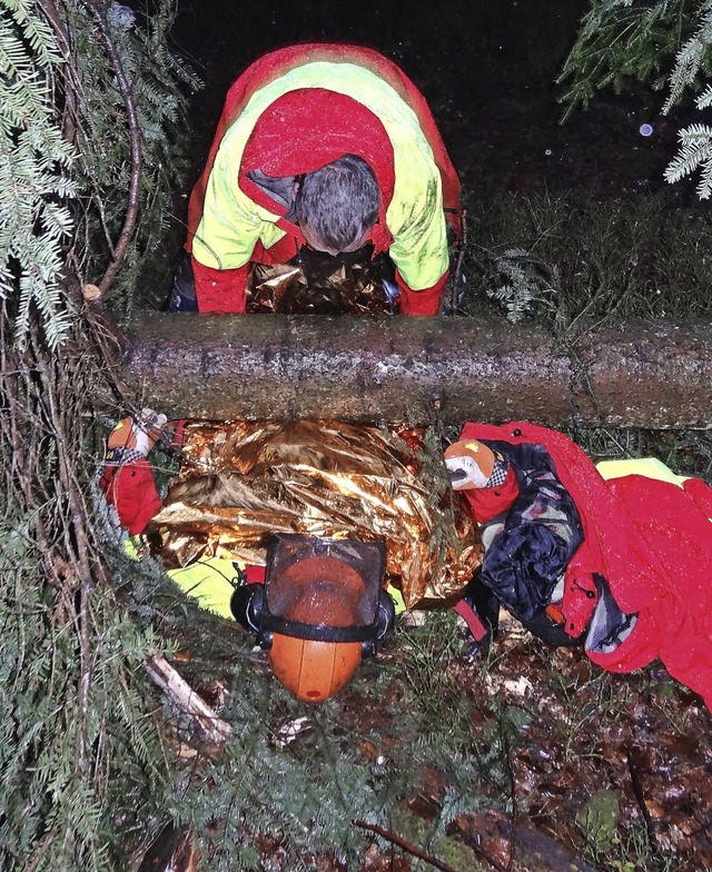 bung bei Dunkelheit: Rettungskrfte b...ttung eines verunglckten Forstwirts.   | Foto:  Johannes Schneider, Kreisforstamt