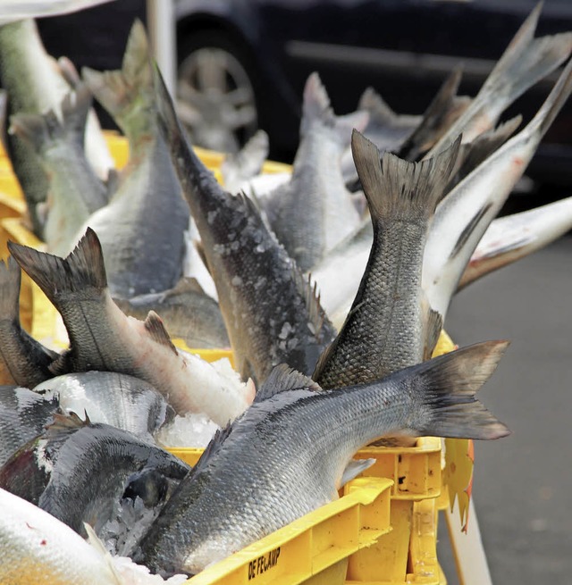 Stecken im Hafen in Fcamp kopfber in einer Kiste mit Eis: gefangene Heringe  | Foto: Aileen Kleefeldt