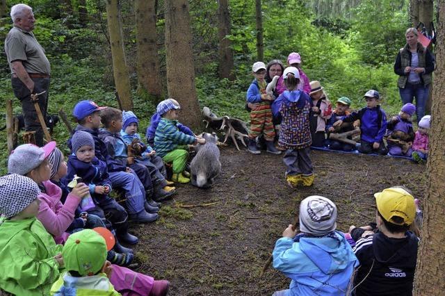 Wald und Wiesen wieder neu entdecken