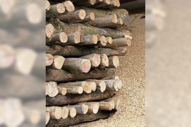 Waldbesitzer schlagen weniger Holz