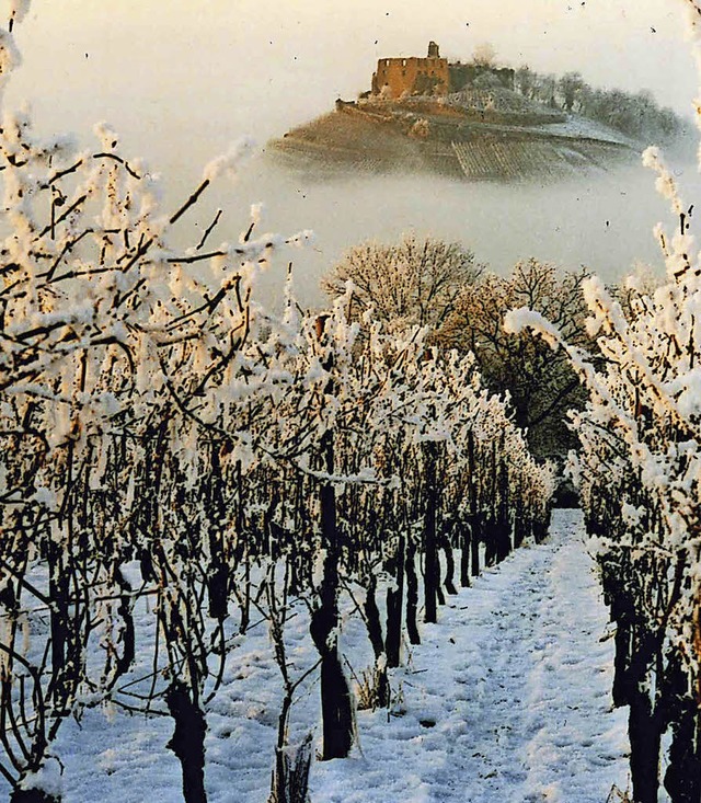 Das Foto mit den schneebedeckten Reben und der Burg ziert  den Monat Dezember.  | Foto: Rosemarie Hartmann