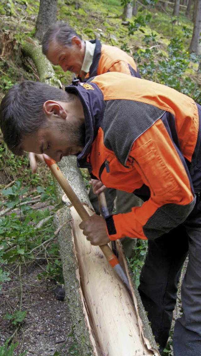 Eichenschlen zhlt zu Yachs traditionsreicher Waldwirtschaft.  | Foto: zvg